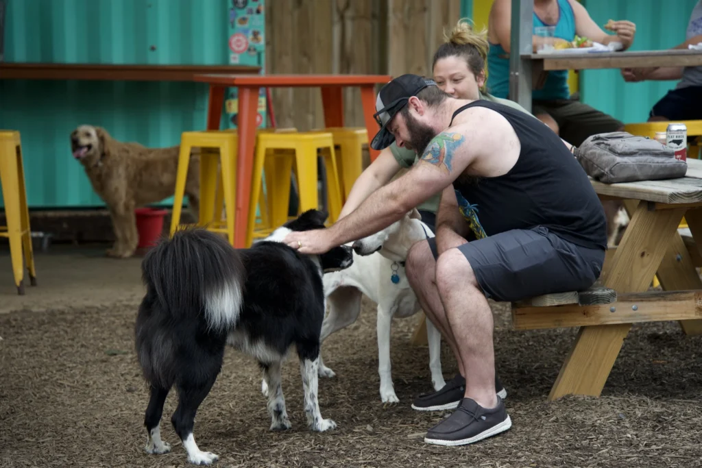 people interacting with the dogs in downtown Asheville
