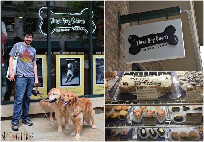 Three Dog Bakery