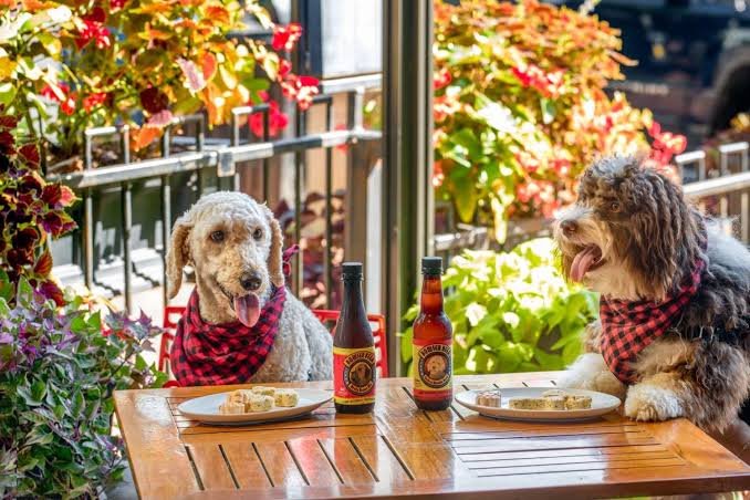 Posana dogs on the table